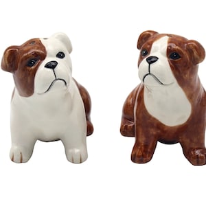 English Bulldog Salt & Pepper shaker set quality ceramic novelty Dog lover gift, boxed