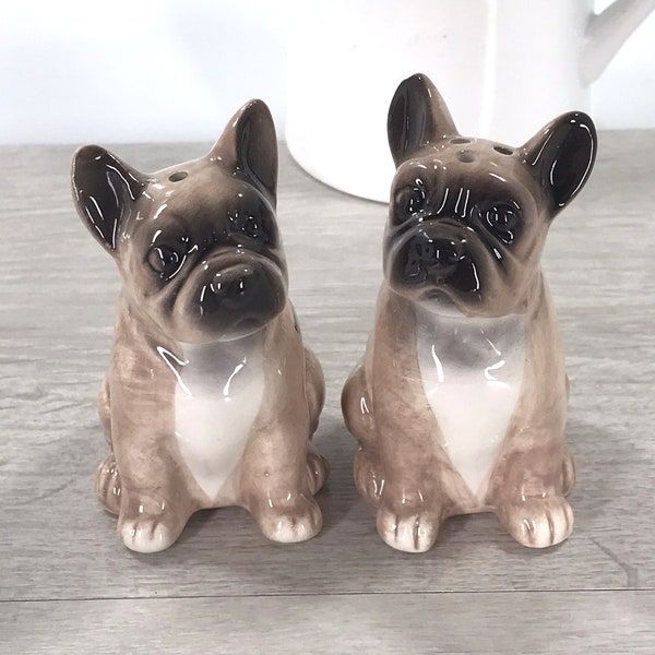 Franse Bulldog Salt & Pepper shaker set kwaliteit keramiek nieuwigheid Frenchie minnaar cadeau, verpakt