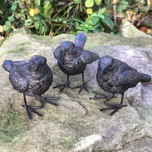 SET OF 3 aged bronze effect Wren ornaments indoor or outdoor decorations, great bird lover gift