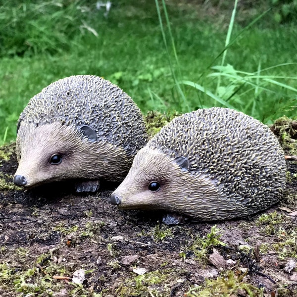 SET of 2 realistic Hedgehog indoor or outdoor ornament decorations, lovely hedgehog lover gift