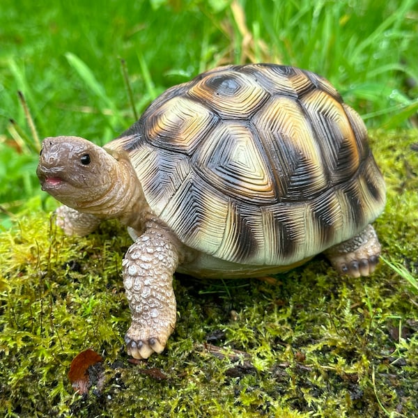 Tortoise ornament figurine, indoor or outdoor decoration, great garden or pond lover gift