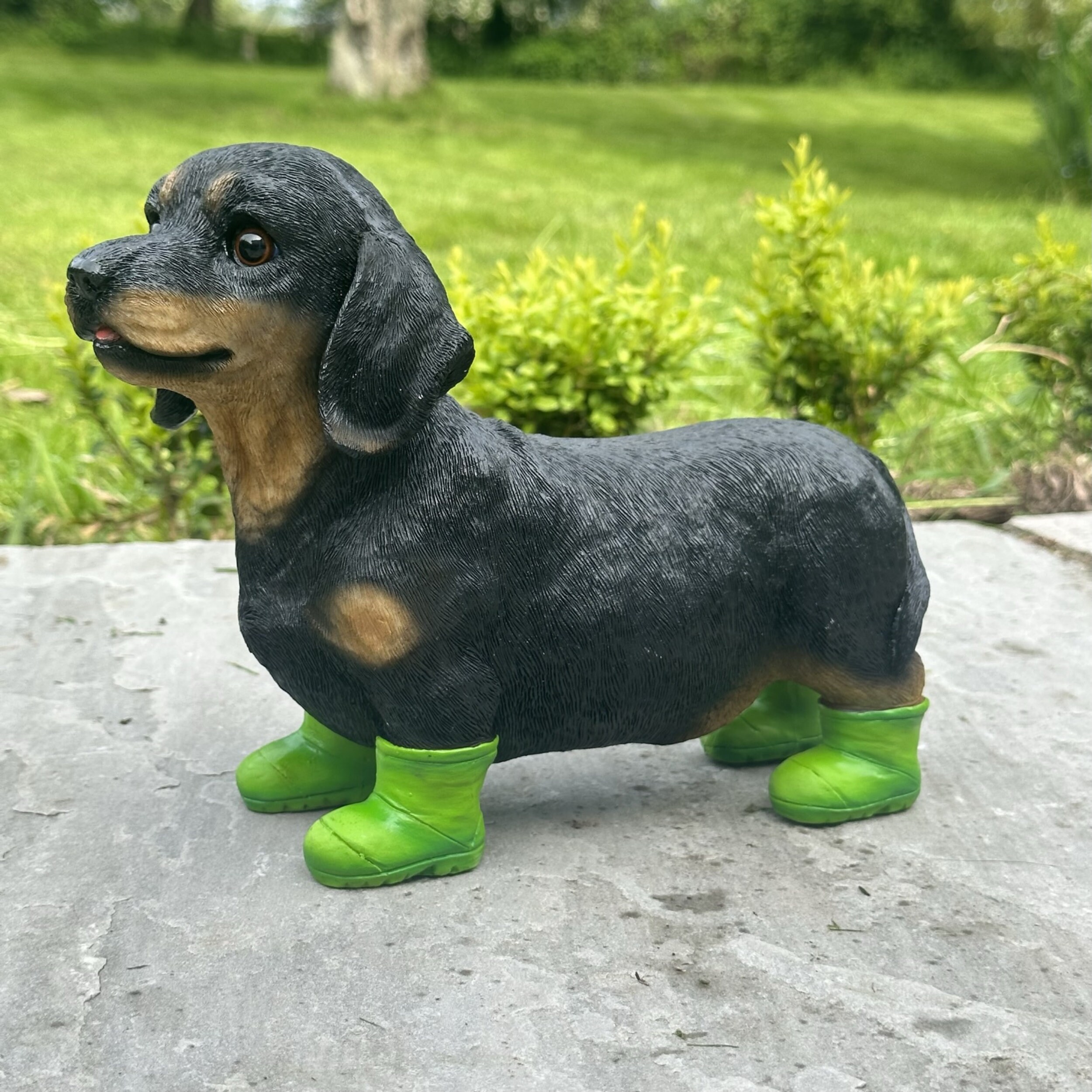 Dachshund wellies best sale