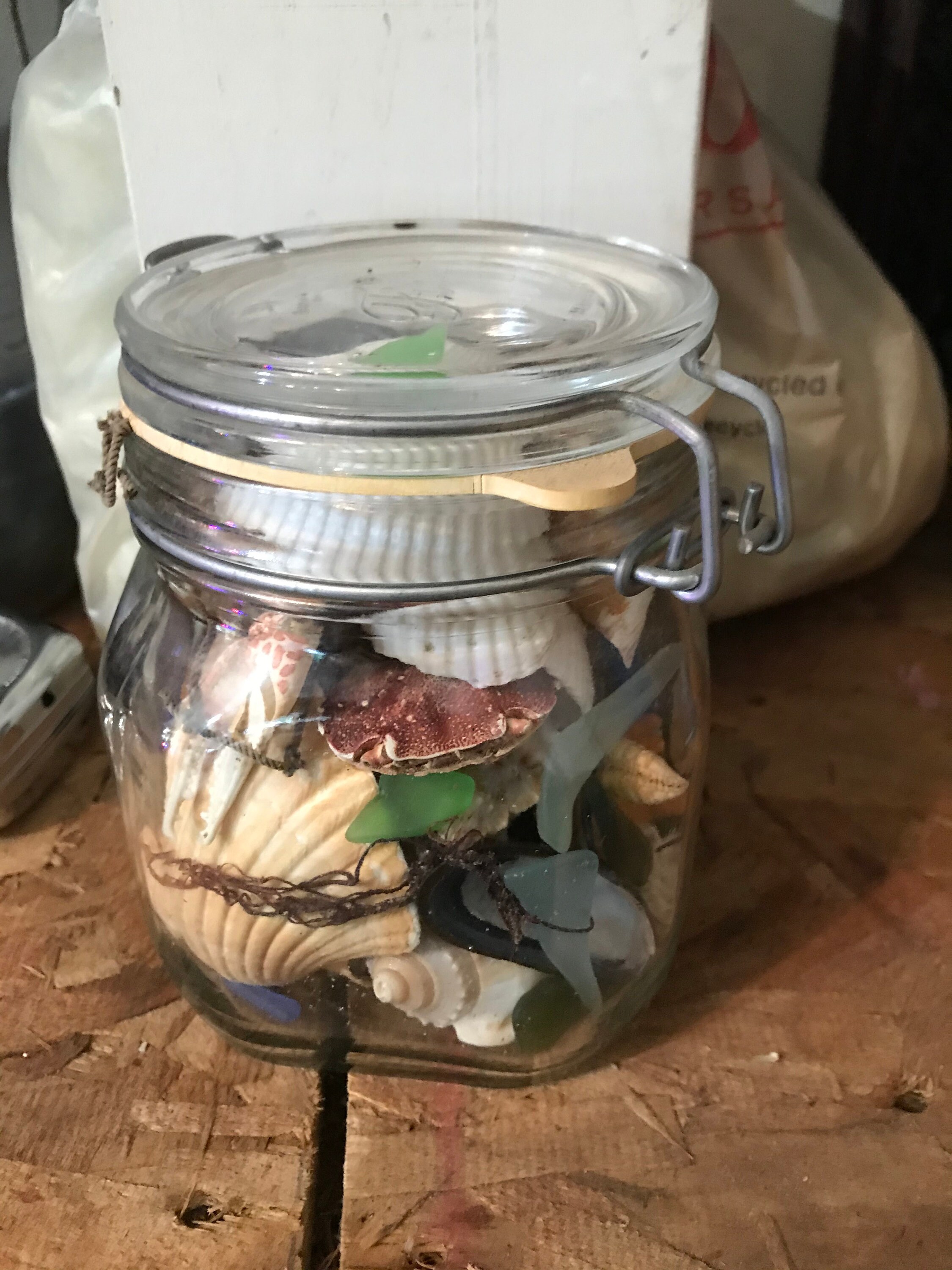 Medium Jar of the Sea with shells sea glass starfish & sea life Medium Jar of the Sea with shells sea glass starfish & sea life