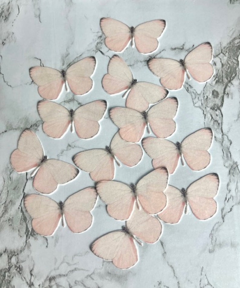 Buy Edible Butterflies Wafer Card PRECUT X12 Pink Colours Butterfly