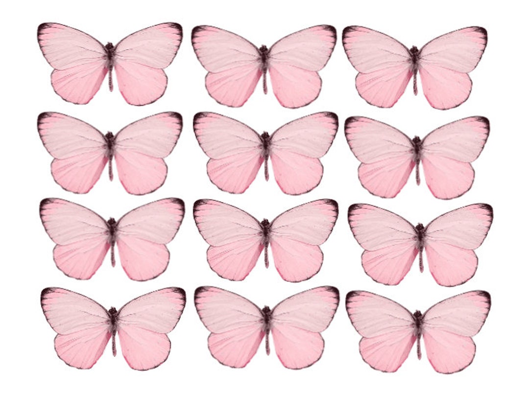 Buy Edible Butterflies Wafer Card PRECUT X12 Pink Colours Butterfly