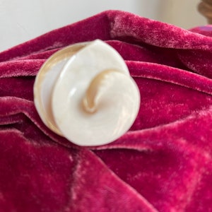 May include: A white, shell-shaped decorative object with a spiral design. The object is set against a deep red velvet background, creating a contrast in textures and colours. The shell appears to be made of a glossy material.