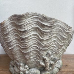 Peut inclure: Grande sculpture décorative en forme de coquillage, avec une surface texturée et ondulée. La coquille est principalement blanc cassé avec de subtils accents gris et marron. La base présente des détails de coraux et de roches.