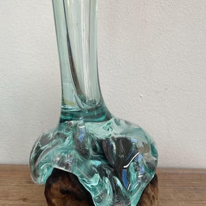 May include: A clear glass vase with a unique, organic shape, resting on a piece of driftwood. The vase has a wide, flared base and a narrow neck, creating a dramatic silhouette.
