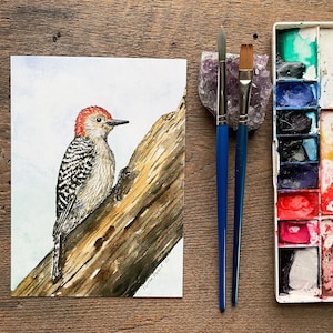 Red-Bellied Woodpecker Watercolor Painting | High-Quality Art Print | Bird Illustration | 5x7&quot;
