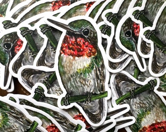 Autocollant Colibri | Autocollant en vinyle découpé sous pression de 3 po | Peinture d’oiseaux à l’aquarelle et à l’encre