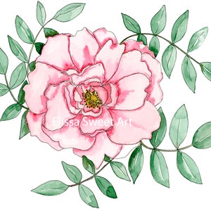 Pink Beach Rose Watercolor Painting High-Quality Art Print Pink Flower 5x7 or 8x10 image 2