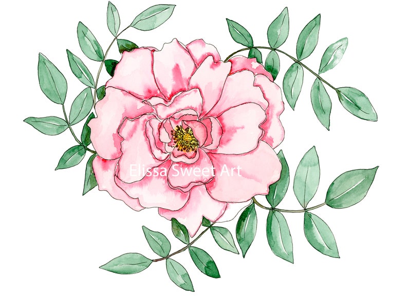 Pink Beach Rose Watercolor Painting High-Quality Art Print Pink Flower 5x7 or 8x10 image 2