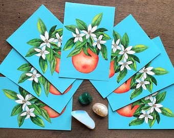 Orange Blossom Postcards | Orange Fruit and Blossoms | Turquoise Background | Watercolor & Ink Flowers | Set of 7 Identical 4x6 Postcards