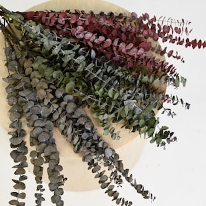 May include: A bunch of dried eucalyptus stems in various shades of green and burgundy. The stems are arranged on a wooden surface and are hanging down.