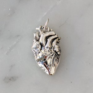 Sterling Silver Anatomical Heart Charm