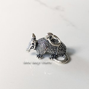 Sterling Silver Armadillo Charm