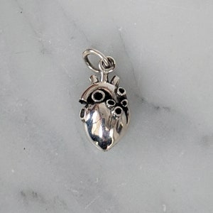 Sterling Silver Small 3D Anatomical Heart Charm