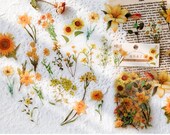40pcs Flower Stickers Pack PET Clear Die-cut Pressed Yellow Flowers Plants stickers Waterproof Clear Stickers for Journal Scrapbook Phone