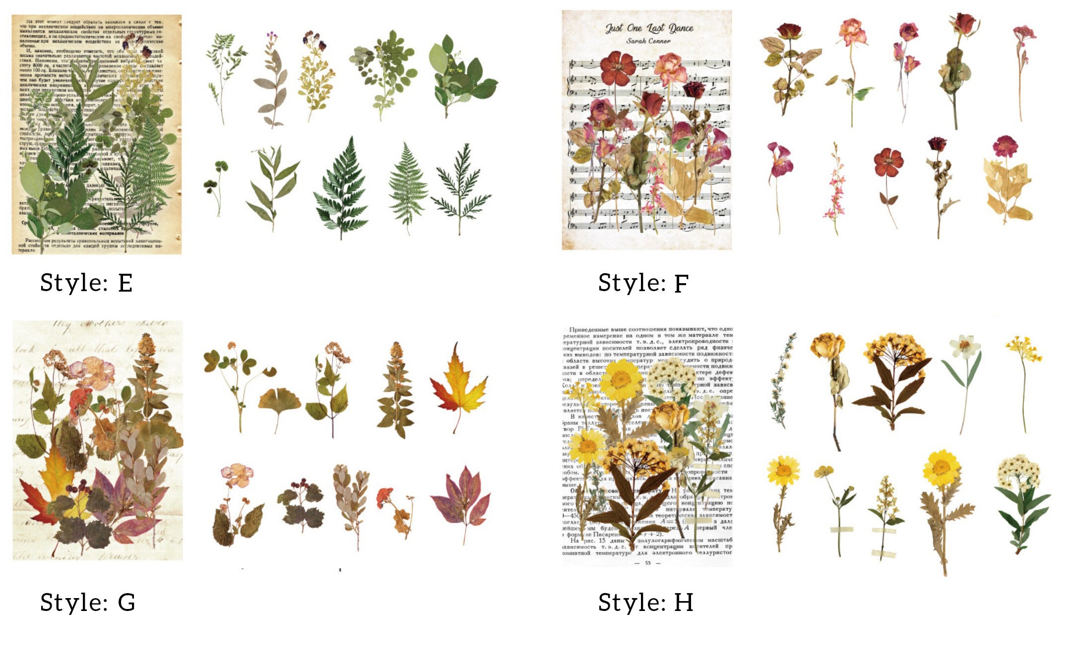 Large Dried Flowers Stickers Pack Clear PET Pressed Etsy