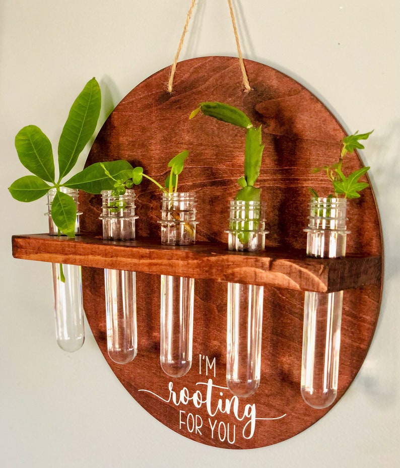 Hanging Propagation Station Plant Decor Wall Planter Etsy