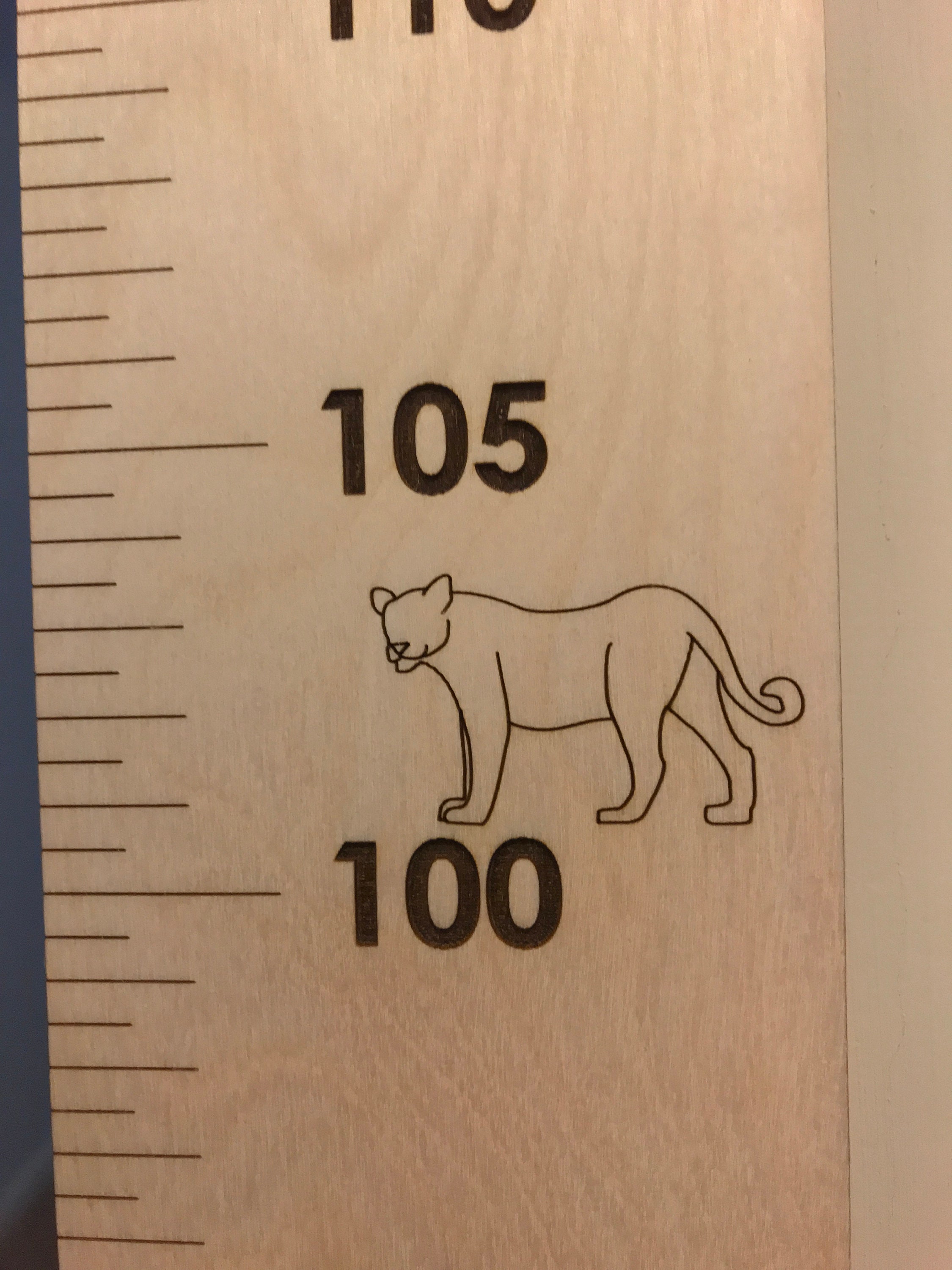 Personalised Height Chart Wooden Height Chart Laser engraved Etsy