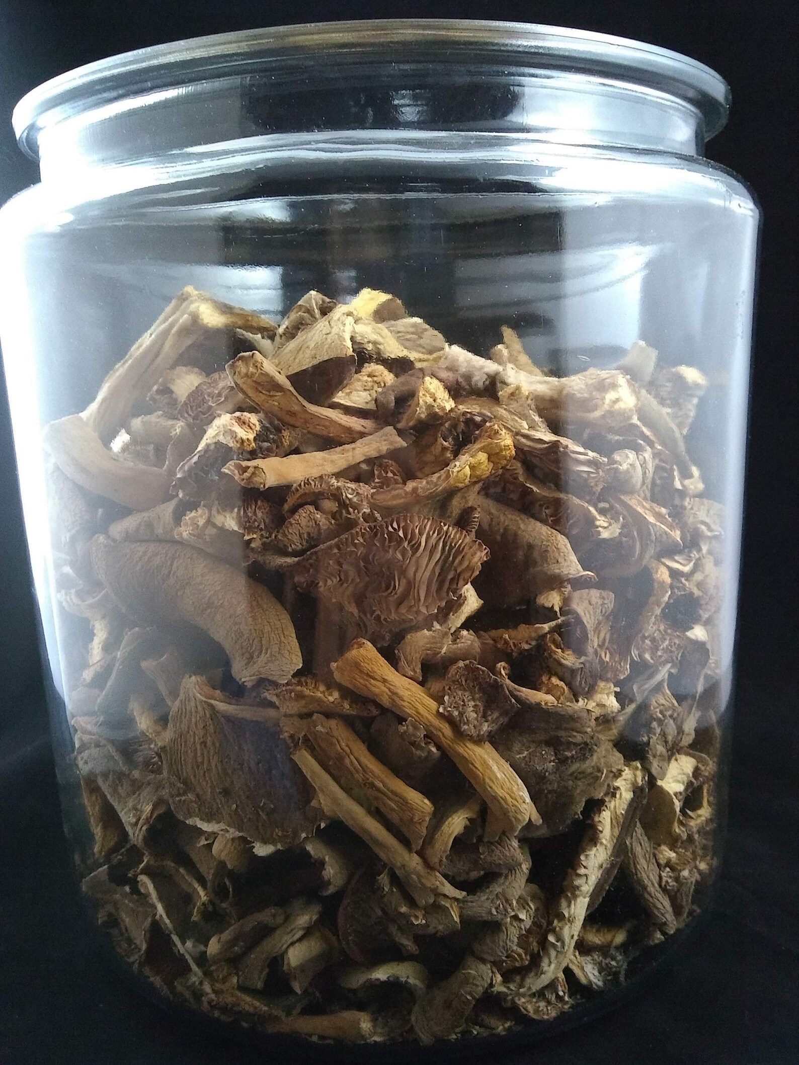Leatherback MushroomsWild ForagedDried 1 oz. Etsy