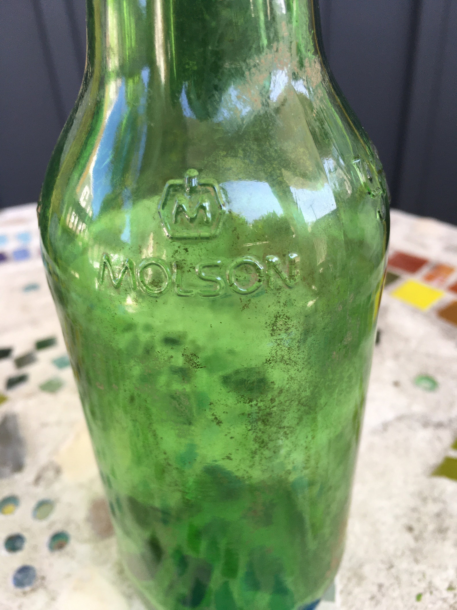 Vintage molson beer bottle Etsy