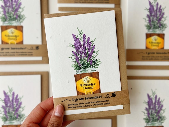 organic garden seed Seed Collection Certified Organic