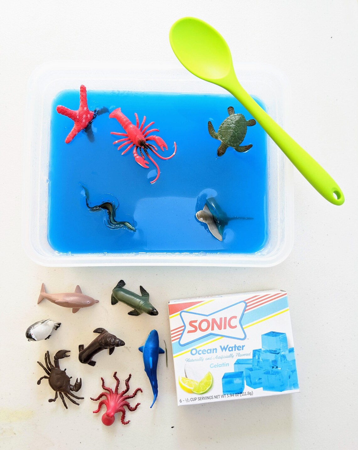 Ocean Sensory Bin Kit for Children's Sensory Exploration Etsy