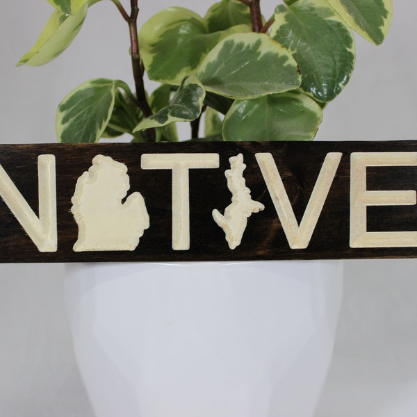 Michigan Native Handmade Carved Wood Wall Hanging Sign For Your Home or Office. Rustic Touch.