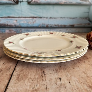 May include: Three white ceramic plates with a gold rim and a delicate floral pattern. The plates are stacked on top of each other.