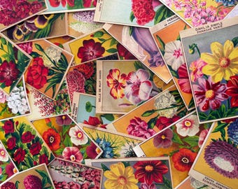 Vintage French Flower Seed Packet Labels 1920s Garden Ephemera Set of 8 ...
