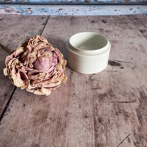May include: A dried rose in shades of pink and beige, alongside a small, off-white ceramic pot. The rose displays intricate petal detail. The pot is circular with a subtle raised edge. The objects rest on a distressed wooden surface.