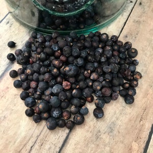 Bayas de enebro jumbo / orgánicas / bayas forrajeras / artesanía silvestre / elaboración de ginebra / boticario