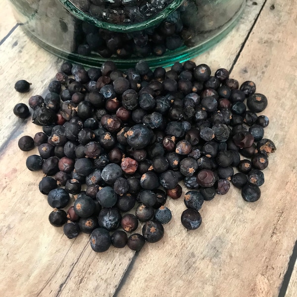 Jumbojeneverbessen | biologisch | geoogste bessen | knutselen | gin maken | apotheker
