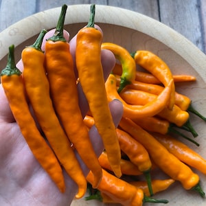 Costeno Amarillo pepper seeds | 30 seeds | heirloom peppers | Mexican Peppers | Rare Peppers
