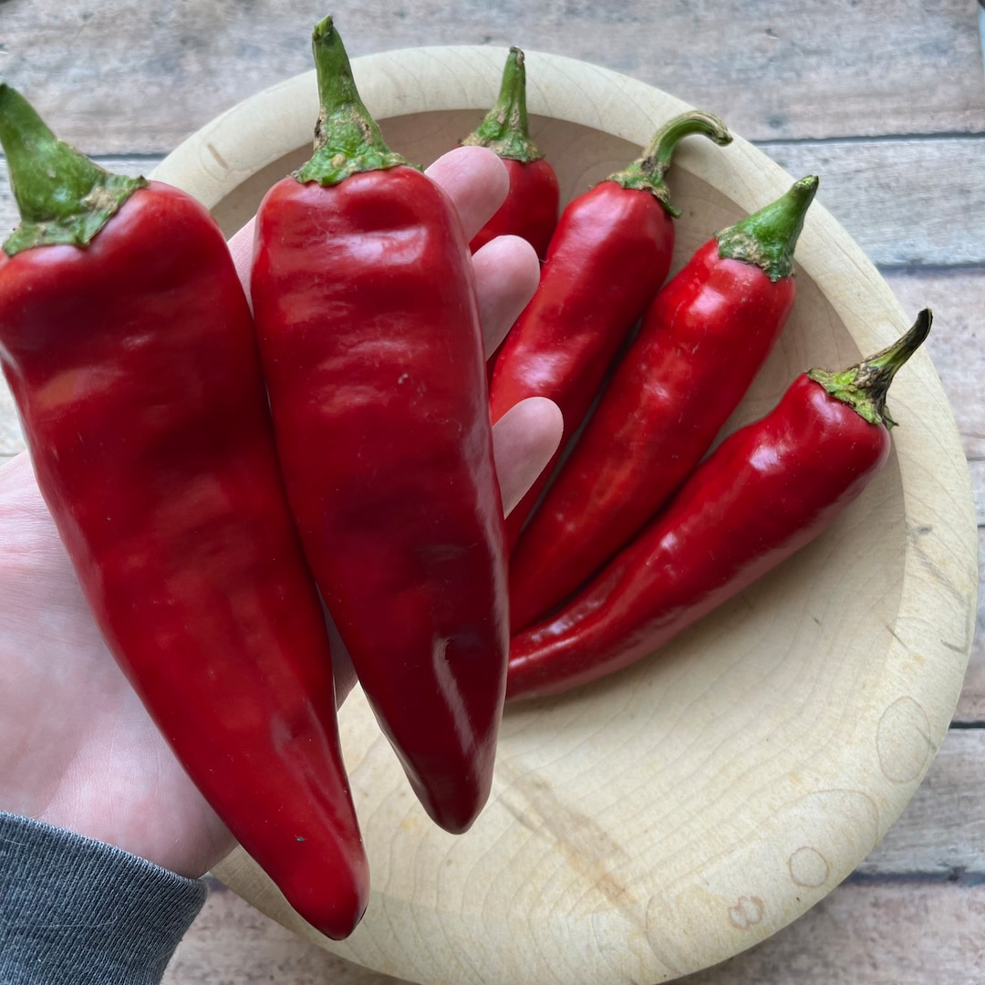 Paprika Pepper Seeds 30 Seeds Heirloom Seeds Organic Gardening Hot
