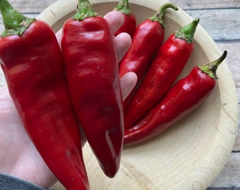 Paprika Pepper Seeds | 30 seeds | heirloom seeds | organic gardening | hot pepper