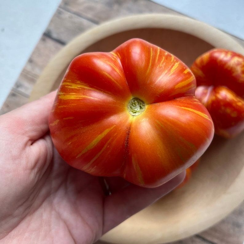 Get Stuffed Tomato Seeds | heirloom seeds | 20 seeds | heirloom tomatoes | non GMO | organic garden image 4