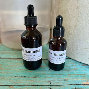 Wintergreen tincture | Gaultheria procumbens tincture | wintergreen | Gaultheria procumbens | apothecary