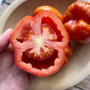 May include: A red tomato cut in half, revealing the inside with seeds. The tomato has a yellow and red striped pattern on the outside.