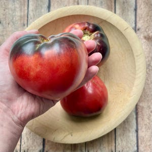 Sgt. Pepper Tomato Seeds | Heirloom Seeds | 20 seeds | Heirloom Tomatoes | Rare Tomato | Organic Garden