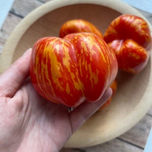 May include: Four red and yellow striped tomatoes in a wooden bowl. The tomatoes have a unique, marbled appearance.