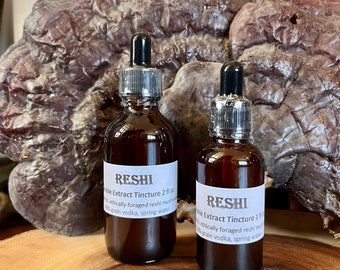Reishi double extract tincture | mushroom tincture | Ganoderma lingzhi | apothecary