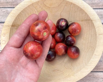 May include: A wooden bowl filled with small, round, red and purple tomatoes. The tomatoes are arranged in a circle in the bowl. A hand is holding two of the tomatoes.