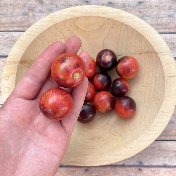 Black Strawberry heirloom tomato seeds | heirloom seeds | 30 seeds | heirloom tomatoes | non GMO | organic garden