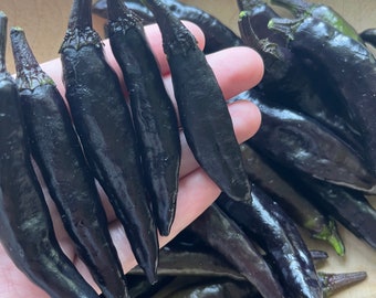 Murasaki Purple pepper seeds | 30 seeds | sweet pepper | heirloom seeds | rare seed