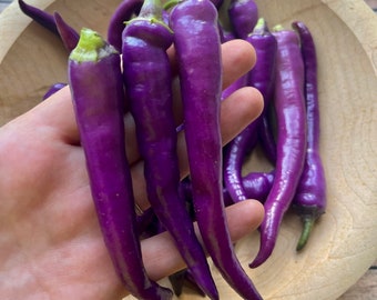 May include: A bowl of purple chili peppers. The peppers are long and thin, with a glossy finish.