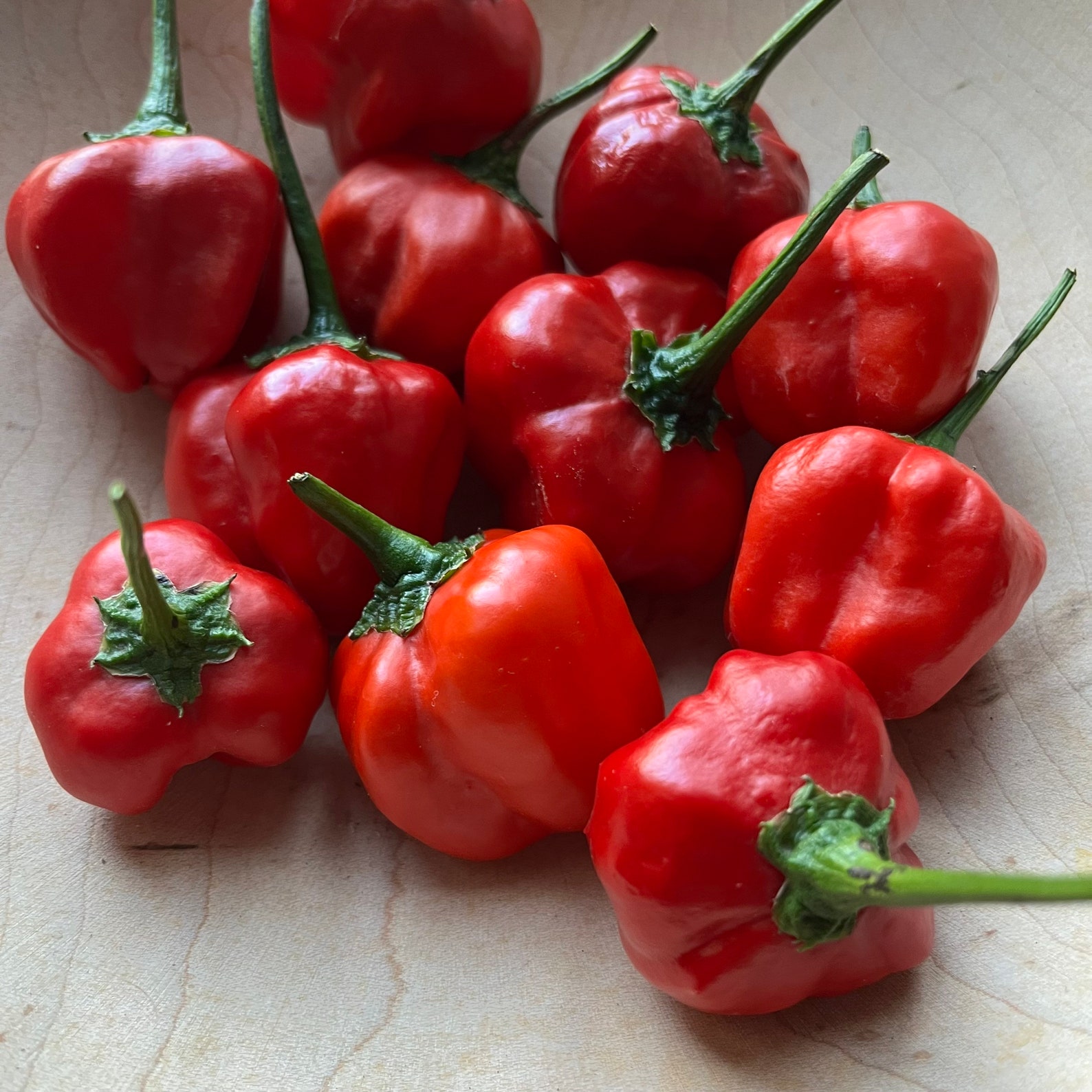 Malawi Piquante Pepper Seeds Peppadew Pepper 30 Seeds Heirloom Seeds