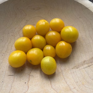 Egg Yolk Cherry Tomato Seeds | heirloom seeds | 30 seeds | heirloom tomatoes | non GMO | organic garden